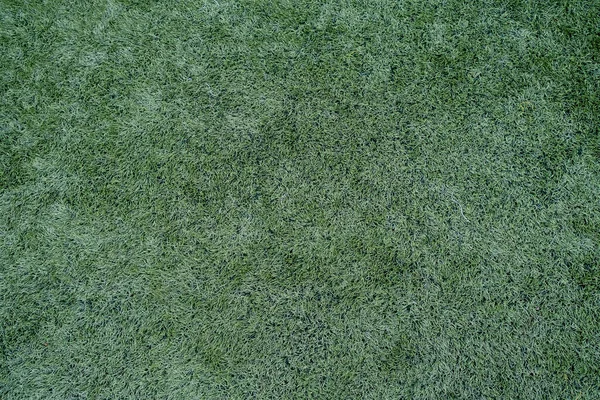 Green synthetic grass sports field . Sports background for product display, banner, or mockup. High quality photo