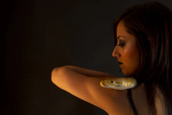 Albino Molur Python Dark Goth Brunette Girl High Quality Photo — Fotografia de Stock