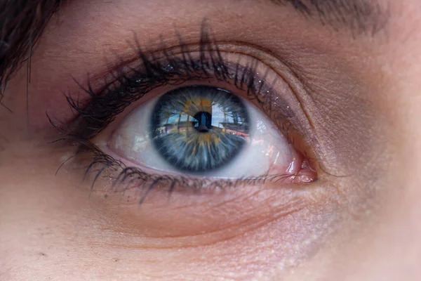 Particular Blue Eye Very Hollow High Quality Photo — Stockfoto