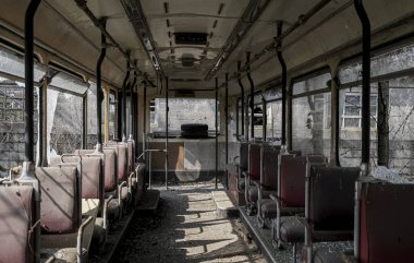 Terk edilmiş okul otobüsü içi yapraklı bitki örtüsüyle dolu. Yüksek kalite fotoğraf