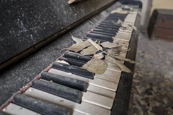 Old Piano Ruined Keys Large Abandoned House High Quality Photo — Stockfoto