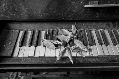 old piano with ruined keys in large abandoned house. High quality photo