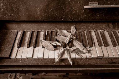 old piano with ruined keys in large abandoned house. High quality photo