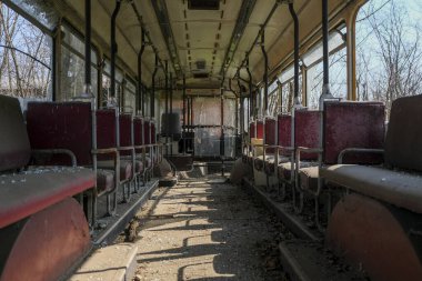Terk edilmiş okul otobüsü içi yapraklı bitki örtüsüyle dolu. Yüksek kalite fotoğraf
