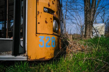 Terk edilmiş okul otobüsü içi yapraklı bitki örtüsüyle dolu. Yüksek kalite fotoğraf