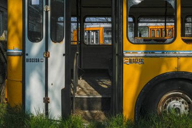 abandoned school bus tram bus interior with leaves branches vegetation. High quality photo