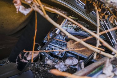 Terk edilmiş okul otobüsü içi yapraklı bitki örtüsüyle dolu. Yüksek kalite fotoğraf