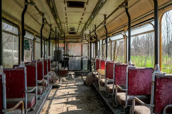 Verlassene Schulbusse Straßenbahn Bus Innenraum Mit Blättern Vegetation Hochwertiges Foto — Stockfoto