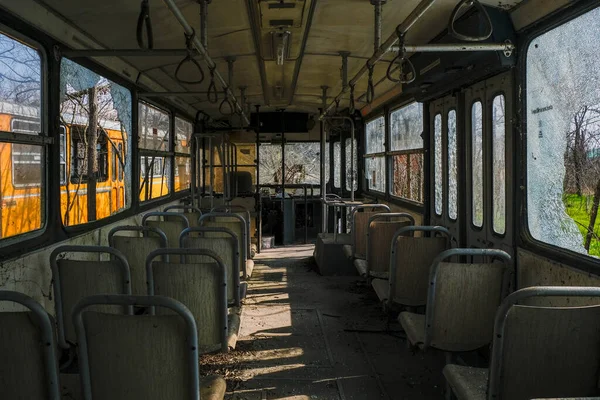 Verlassene Schulbusse Straßenbahn Bus Innenraum Mit Blättern Vegetation Hochwertiges Foto — Stockfoto