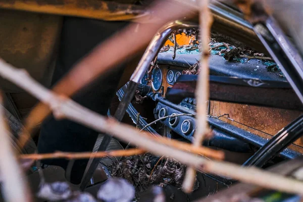 Abandoned School Bus Tram Bus Interior Leaves Branches Vegetation High — Stockfoto