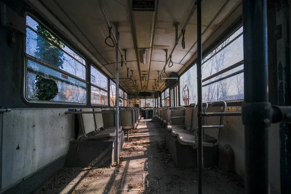 Abandoned School Bus Tram Bus Interior Leaves Branches Vegetation High — 스톡 사진