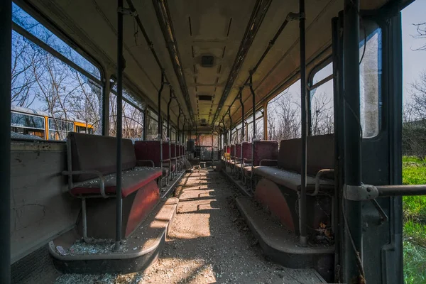 Verlassene Schulbusse Straßenbahn Bus Innenraum Mit Blättern Vegetation Hochwertiges Foto — Stockfoto