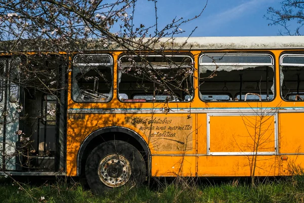 Abandoned School Bus Tram Bus Depot High Quality Photo — Stockfoto