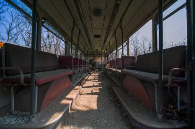 Terk edilmiş okul otobüsü içi yapraklı bitki örtüsüyle dolu. Yüksek kalite fotoğraf