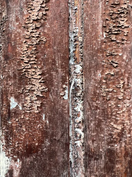 Old Wooden Door Time Worn Paint High Quality Photo — Stock Photo, Image