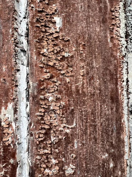 経年劣化塗料と古い木製のドア 高品質の写真 — ストック写真
