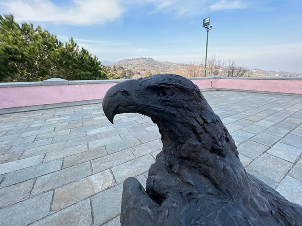 Pinerolo Turin 2021 Bronze Statue Sculpture Exhibition City Eagle High — Stock Photo, Image