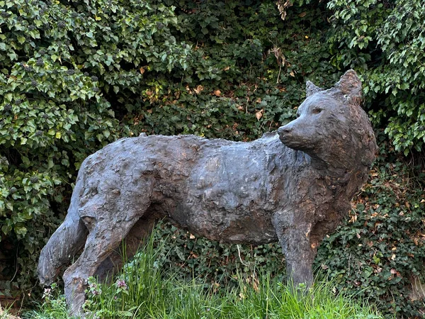Pinerolo Turim 2021 Estátua Bronze Para Exposição Esculturas Torno Lobo — Fotografia de Stock