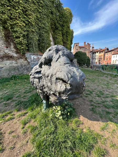 Pinerolo Turin 2021 Bronze Statue Sculpture Exhibition City Water Buffalo — Stock Photo, Image