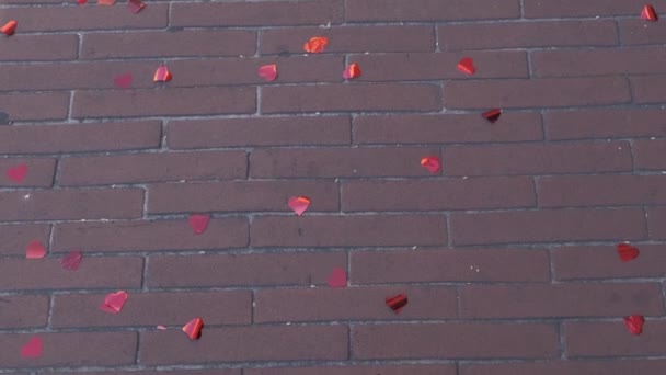 Coeurs Plastique Sur Trottoir Après Mariage Images Haute Qualité — Video