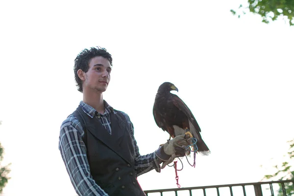 Falconer Harris Buzzard His Arm Hunting Dog High Quality Photo — Stock Photo, Image