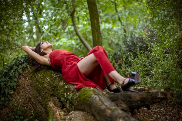 Schönes Mädchen Mit Langem Rotem Kleid Das Auf Einem Baumstamm — Stockfoto