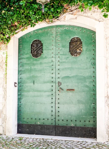 Μεγάλη Παλιά Πόρτα Καλάμια Και Παλιό Ξύλο Υψηλής Ποιότητας Φωτογραφία — Φωτογραφία Αρχείου