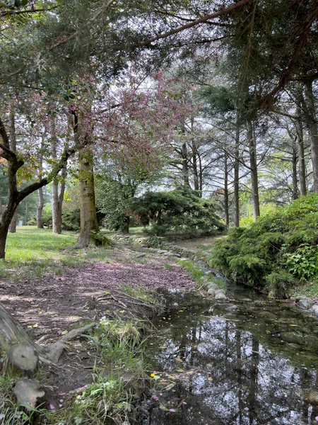 Torino 'daki Valentino parkında. Yüksek kalite fotoğraf