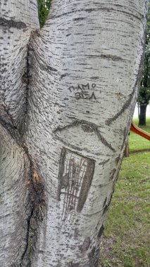 Çocuk çizimleriyle işlenmiş bir huş sandığı. Yüksek kalite fotoğraf