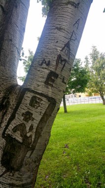Çocuk çizimleriyle işlenmiş bir huş sandığı. Yüksek kalite fotoğraf