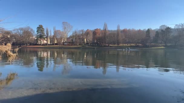 Floden Som Korsar Turin Valentino Park Högkvalitativ Film — Stockvideo