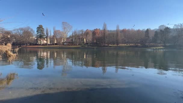 Der Fluss Durchquert Turin Valentino Park Hochwertiges Filmmaterial — Stockvideo