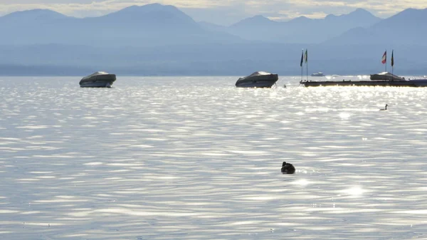 Barche Sul Lago Garda Ormeggiate Lontananza Tramonto Foto Alta Qualità — Foto Stock