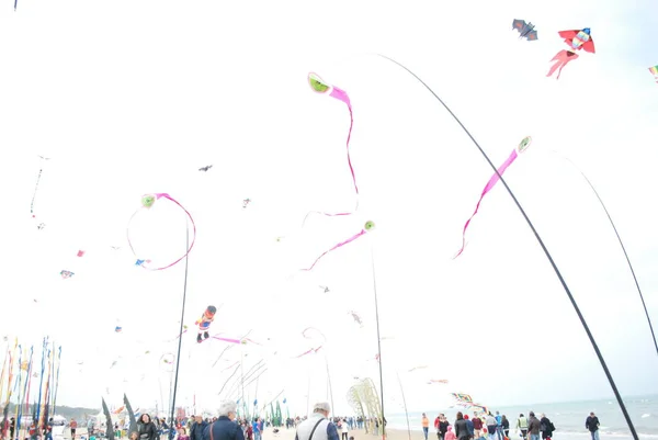 Cervia Ravenna Italia 2019 Artevento Cervia International Kite Free Festival — Foto Stock