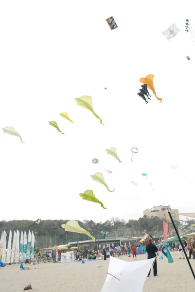 Cervia Ravenna Italia 2019 Artevento Cervia International Kite Free Festival — Foto Stock