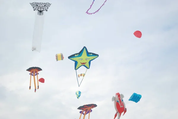 Cervia Ravenna Italy 2019 Artevento Cervia International Kite Free Festival — Stock Photo, Image