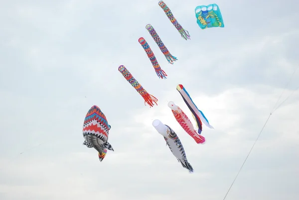 Cervia Ravenna Italia 2019 Artevento Cervia International Kite Free Festival — Foto Stock