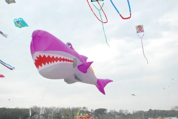 Cervia Ravenna Italia 2019 Artevento Cervia International Kite Free Festival — Foto Stock