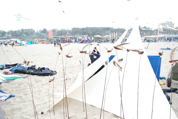 Cervia Ravenna Italia 2019 Artevento Cervia International Kite Free Festival — Foto Stock