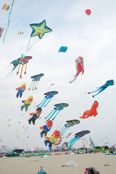 Cervia Ravenna Italia 2019 Artevento Cervia International Kite Free Festival — Foto Stock