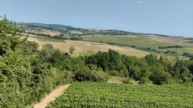 Asti bölgesi barbera şarabının yeşil tepeleri ve üzüm bağları manzarası. Yüksek kalite 4k görüntü