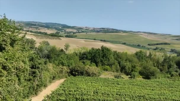 Groene Heuvels Wijngaarden Panorama Van Asti Gebied Barbera Wijn Hoge — Stockvideo