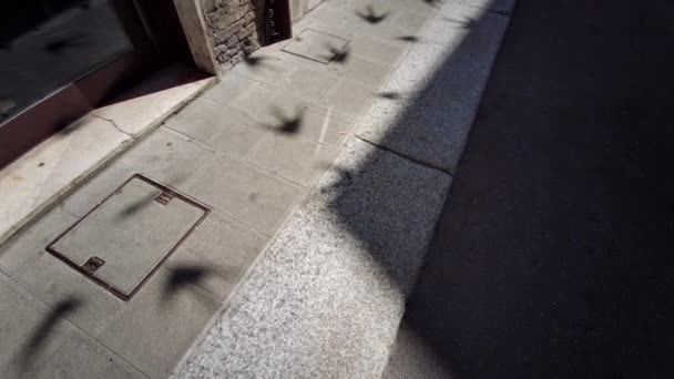 길에는 그림자가 화려하게 그려져 고품질 — 비디오