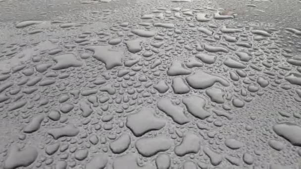 Gotas Lluvia Carrocería Gris Oscuro Imágenes Alta Calidad — Vídeo de stock