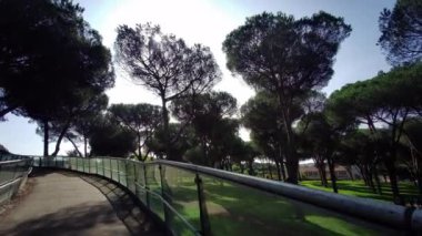 Roma 'daki villa Pamphili parkı yolu üzerinde. Yüksek kalite 4k görüntü