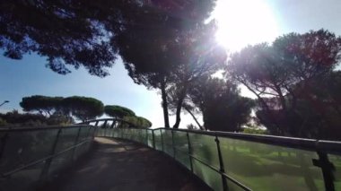 Roma 'daki villa Pamphili parkı yolu üzerinde. Yüksek kalite 4k görüntü