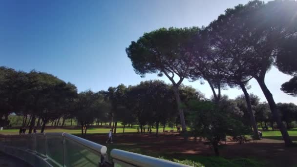 Parco Villa Pamphili Roma Passerella Sulla Strada Filmati Alta Qualità — Video Stock