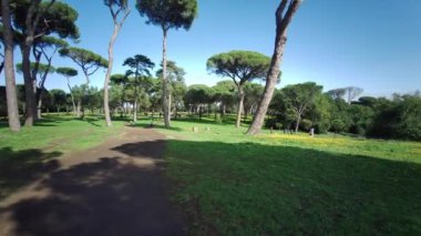 Güneşli bir günde Roma 'daki villa Pamphili parkının genel görünümü. Yüksek kalite 4k görüntü