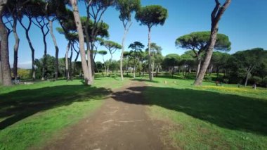 Güneşli bir günde Roma 'daki villa Pamphili parkının genel görünümü. Yüksek kalite 4k görüntü