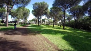 Güneşli bir günde Roma 'daki villa Pamphili parkının genel görünümü. Yüksek kalite 4k görüntü